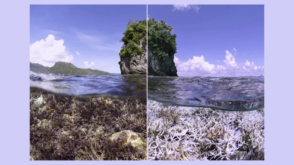 23 climate change documentaries you need to watch because this planet is NOT fine